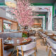 Uma imagem panorâmica do interior de um restaurante contemporâneo com decoração de inspiração asiática. O salão apresenta mesas redondas e retangulares de madeira acompanhadas por cadeiras e sofás estofados em tons claros de cinza. Destacam-se no ambiente árvores ornamentais com flores rosa artificiais, lembrando cerejeiras, além de paredes brancas decoradas com pinturas de carpas e detalhes em madeira vazada.